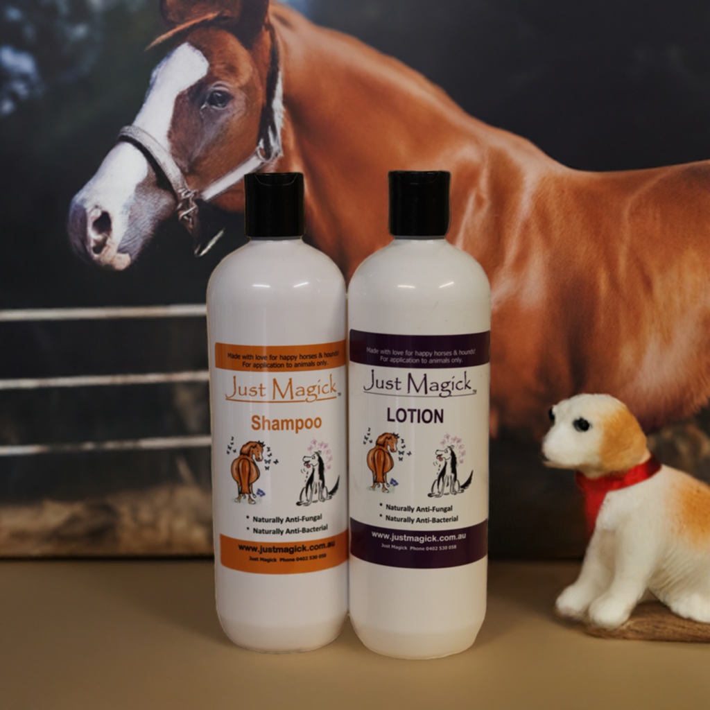 -JUST MAGICK HORSE & DOG STARTER PACK