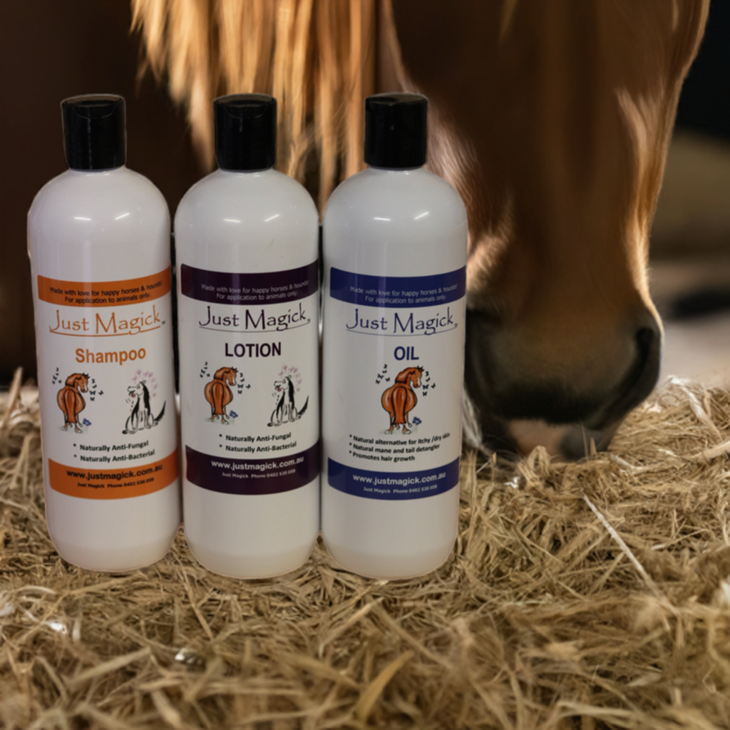 **THE JUST MAGICK 2LT PACK