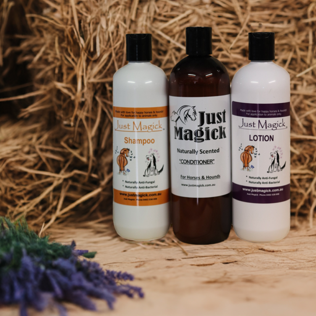 *JUST MAGICK (PACK 1) HORSE&DOG