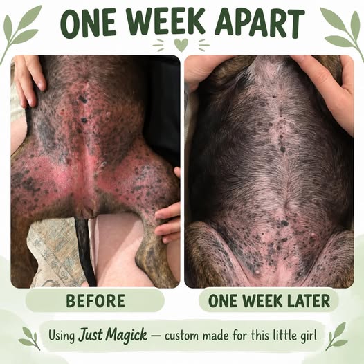 Just Magick Shampoo Custom Made