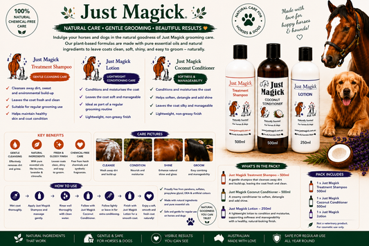 (PACK 1) JUST MAGICK HORSE&DOG