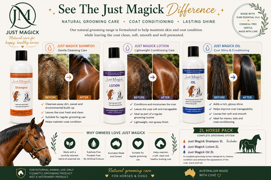 THE JUST MAGICK 2LT PACK