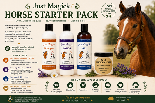 -JUST MAGICK ALL YOU NEED HORSE PACK