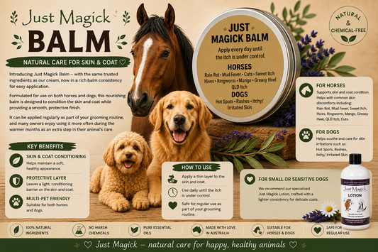 ..JUST MAGICK BALM FOR HORSES & DOGS (DOUBLE STRENGTH OF THE LOTION)