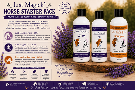 -JUST MAGICK HORSE STARTER PACK