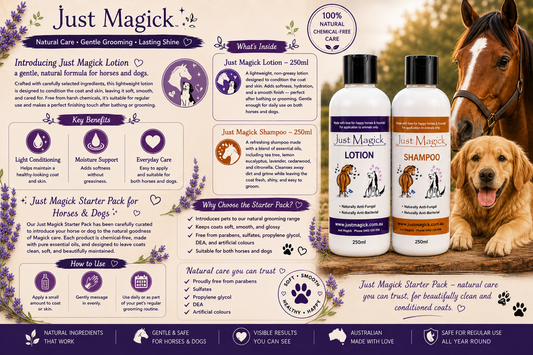 -JUST MAGICK HORSE & DOG STARTER PACK