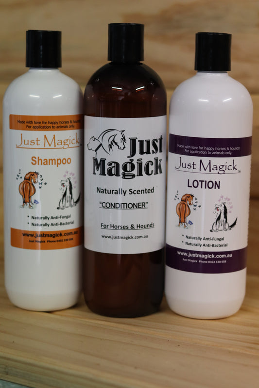 -JUST MAGICK ALL YOU NEED DOG PACK