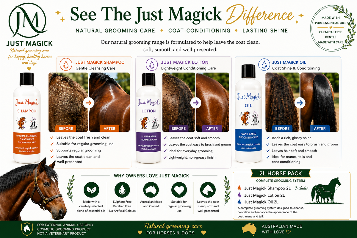 THE JUST MAGICK 2LT PACK