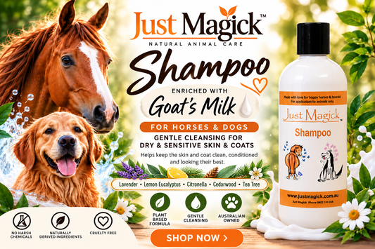 **JUST MAGICK SHAMPOO FOR HORSES