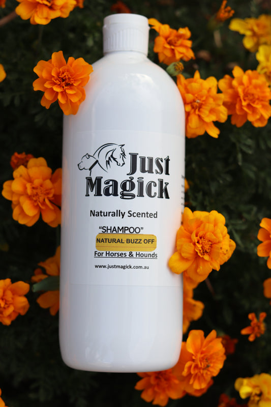 JUST MAGICK NATURAL BUZZ OFF BUGS SHAMPOO FOR HORSES AND DOGS